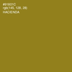 #91801C - Hacienda Color Image