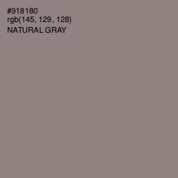 #918180 - Natural Gray Color Image