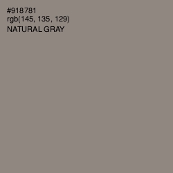 #918781 - Natural Gray Color Image