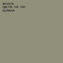 #91907A - Gurkha Color Image