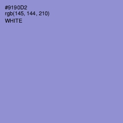 #9190D2 - Blue Bell Color Image