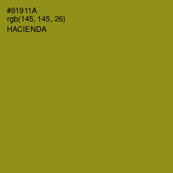 #91911A - Hacienda Color Image