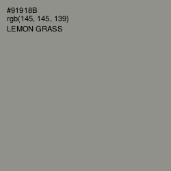 #91918B - Lemon Grass Color Image