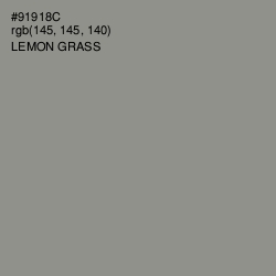 #91918C - Lemon Grass Color Image