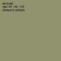 #91926E - Granite Green Color Image