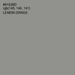 #91928D - Lemon Grass Color Image