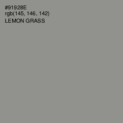 #91928E - Lemon Grass Color Image