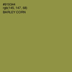 #919344 - Barley Corn Color Image