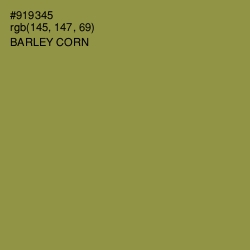 #919345 - Barley Corn Color Image