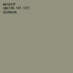 #91937F - Gurkha Color Image