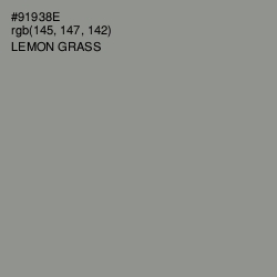 #91938E - Lemon Grass Color Image