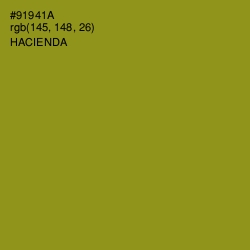 #91941A - Hacienda Color Image