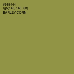 #919444 - Barley Corn Color Image