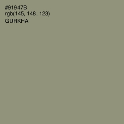 #91947B - Gurkha Color Image