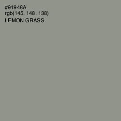 #91948A - Lemon Grass Color Image