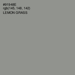 #91948E - Lemon Grass Color Image