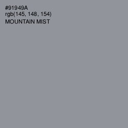 #91949A - Mountain Mist Color Image