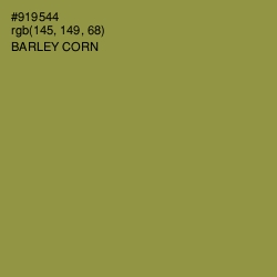 #919544 - Barley Corn Color Image