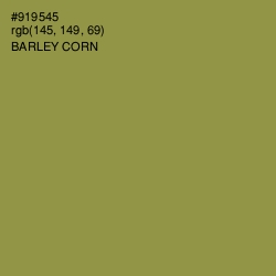 #919545 - Barley Corn Color Image