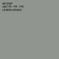 #91958F - Lemon Grass Color Image