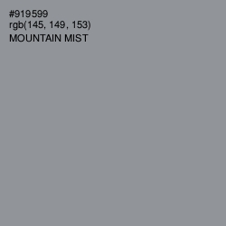 #919599 - Mountain Mist Color Image