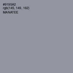 #9195A2 - Manatee Color Image