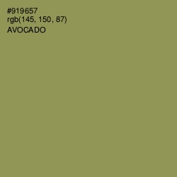 #919657 - Avocado Color Image