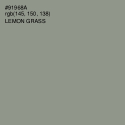 #91968A - Lemon Grass Color Image