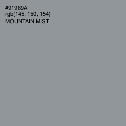 #91969A - Mountain Mist Color Image