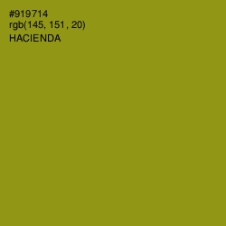 #919714 - Hacienda Color Image