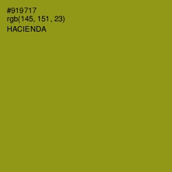 #919717 - Hacienda Color Image