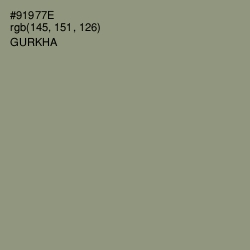 #91977E - Gurkha Color Image