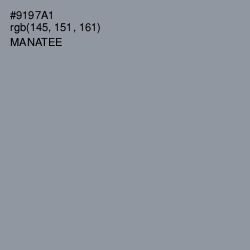 #9197A1 - Manatee Color Image