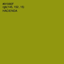 #91980F - Hacienda Color Image