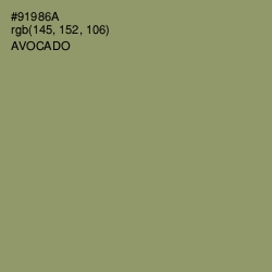 #91986A - Avocado Color Image