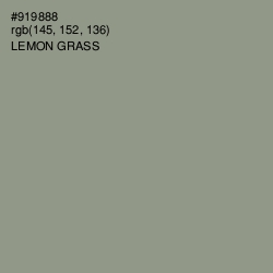 #919888 - Lemon Grass Color Image