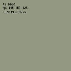 #919980 - Lemon Grass Color Image