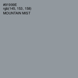 #91999E - Mountain Mist Color Image