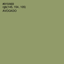 #919A69 - Avocado Color Image