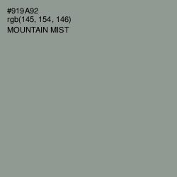 #919A92 - Mountain Mist Color Image