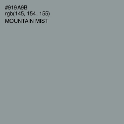 #919A9B - Mountain Mist Color Image