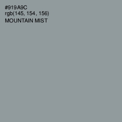 #919A9C - Mountain Mist Color Image