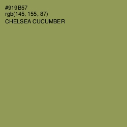 #919B57 - Chelsea Cucumber Color Image