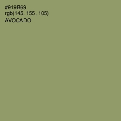 #919B69 - Avocado Color Image