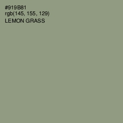#919B81 - Lemon Grass Color Image