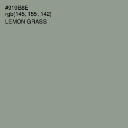 #919B8E - Lemon Grass Color Image