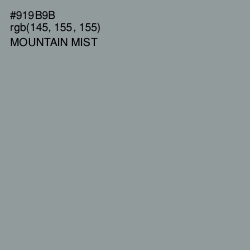 #919B9B - Mountain Mist Color Image