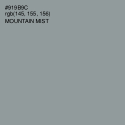 #919B9C - Mountain Mist Color Image