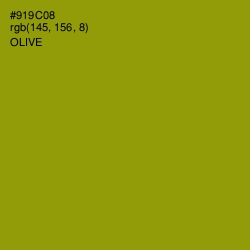 #919C08 - Olive Color Image
