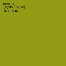 #919C14 - Hacienda Color Image